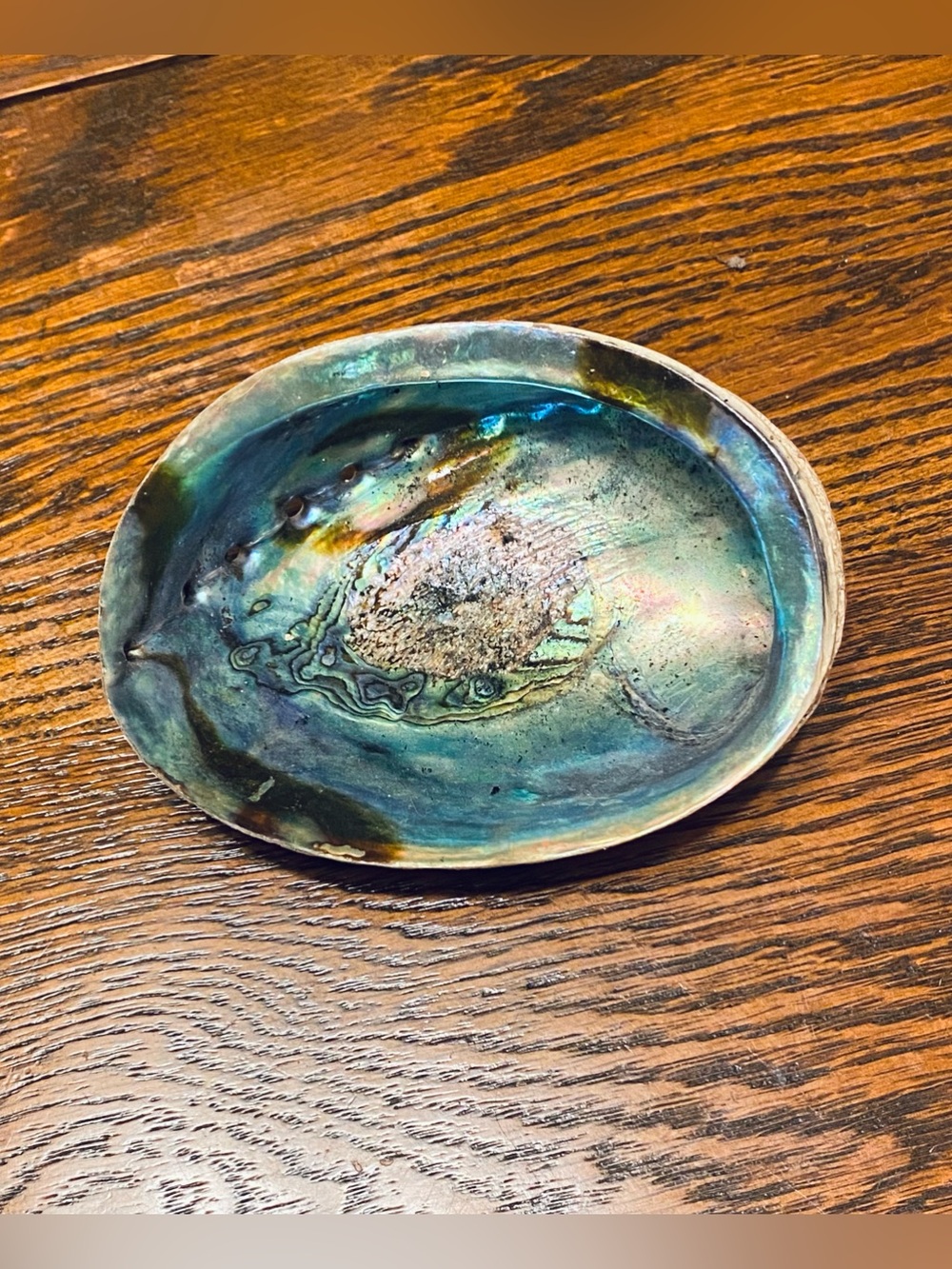 VTG Abalone Natural Shell Trinket Dish Smudge Bowl Iridescent BlueTeal 5”